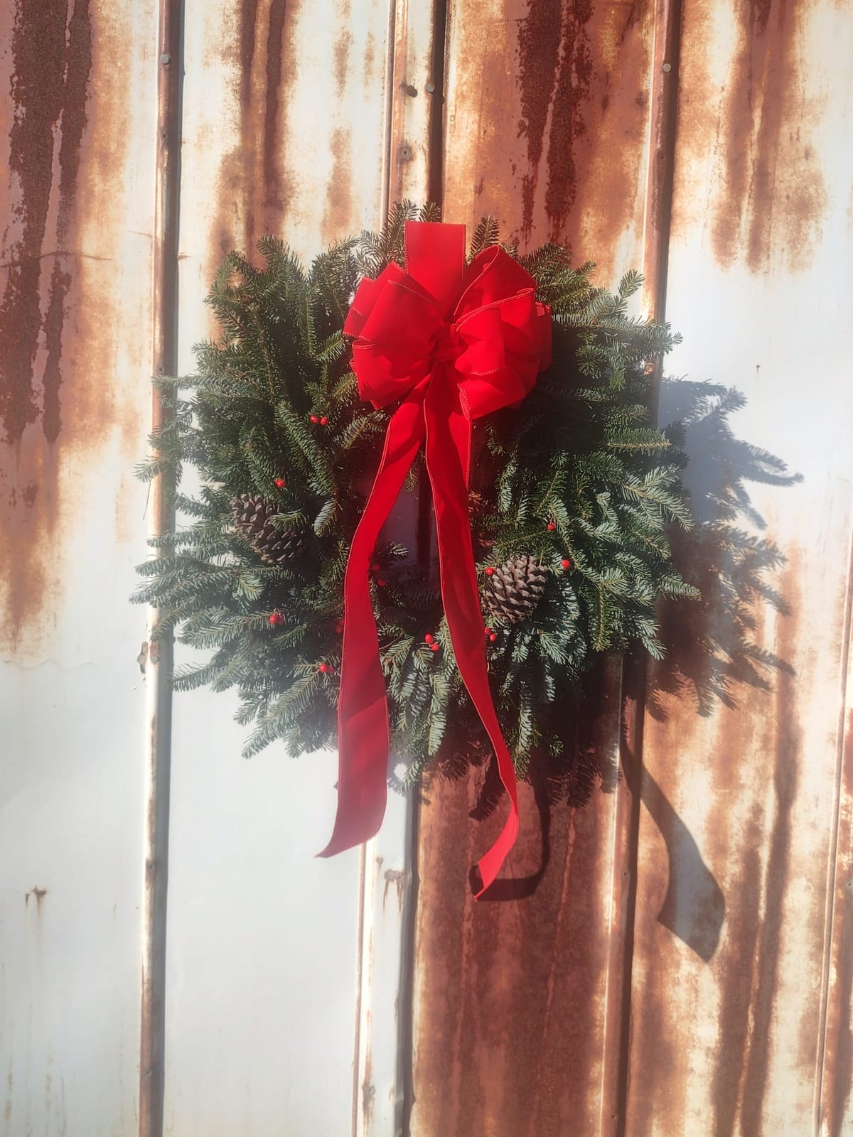 Handmade Fraser Fir wreath with fresh greenery from Peach Bottom Christmas Tree Farm